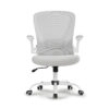 Καρέκλα Γραφείου - Eureka Ergonomic® ERK-OC06-GY - Image 2