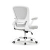 Καρέκλα Γραφείου - Eureka Ergonomic® ERK-OC06-GY - Image 7